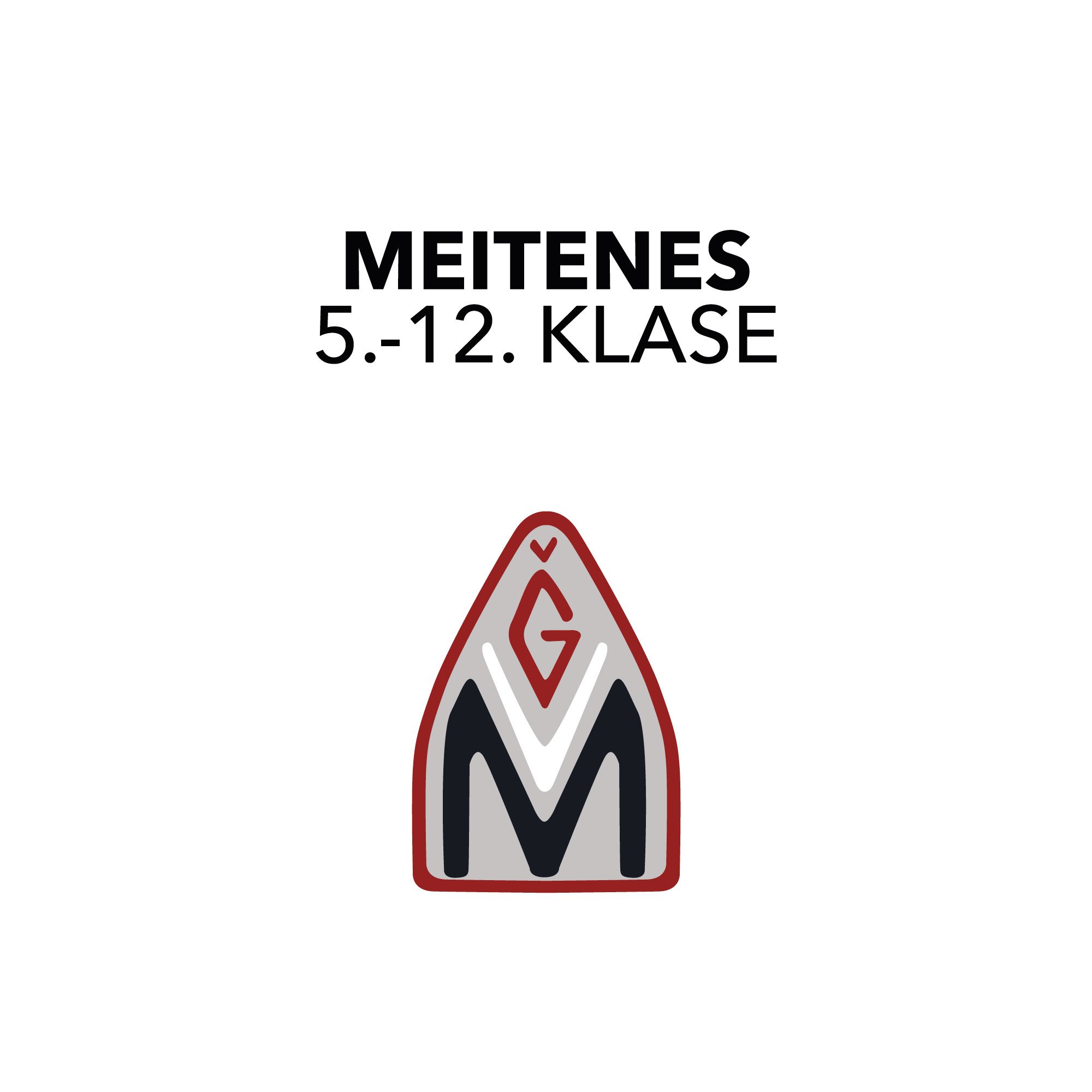 Meitenes 5.-12.klase