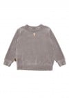 Sweatshirt light grey velvet with embroidery FW23153L