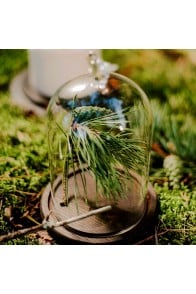 Glass Dome with Wooden Base