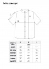 Shirt cotton with blue check and embroidery SS24247L