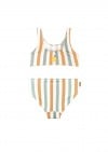 Swimsuit with stripes SS23264