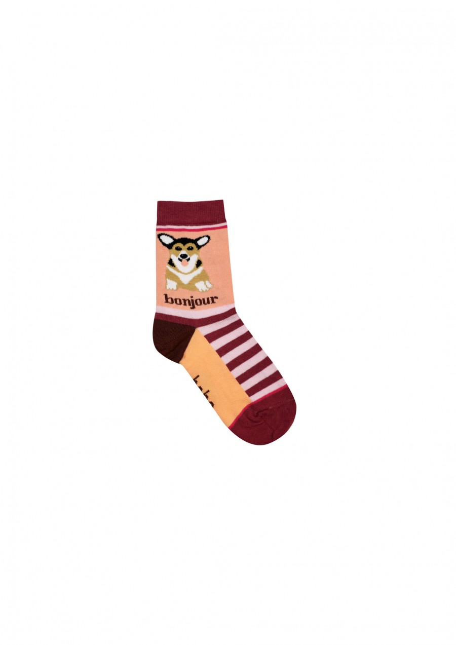 Socks with pink stripes and dog FW21467