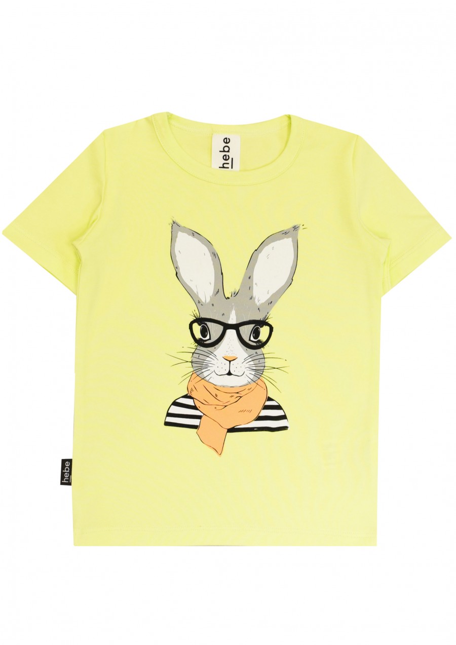Top green with Easter bunny for male E21022