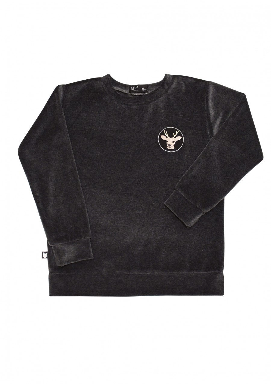 Boys cotton velvet sweater grey with embroidery FW19117L