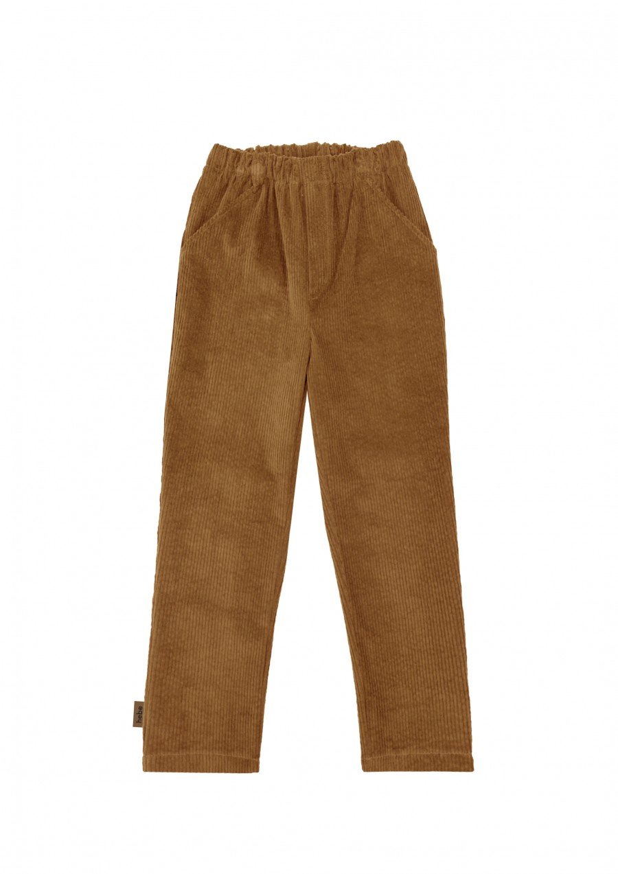 Pants brown corduroy FW23236