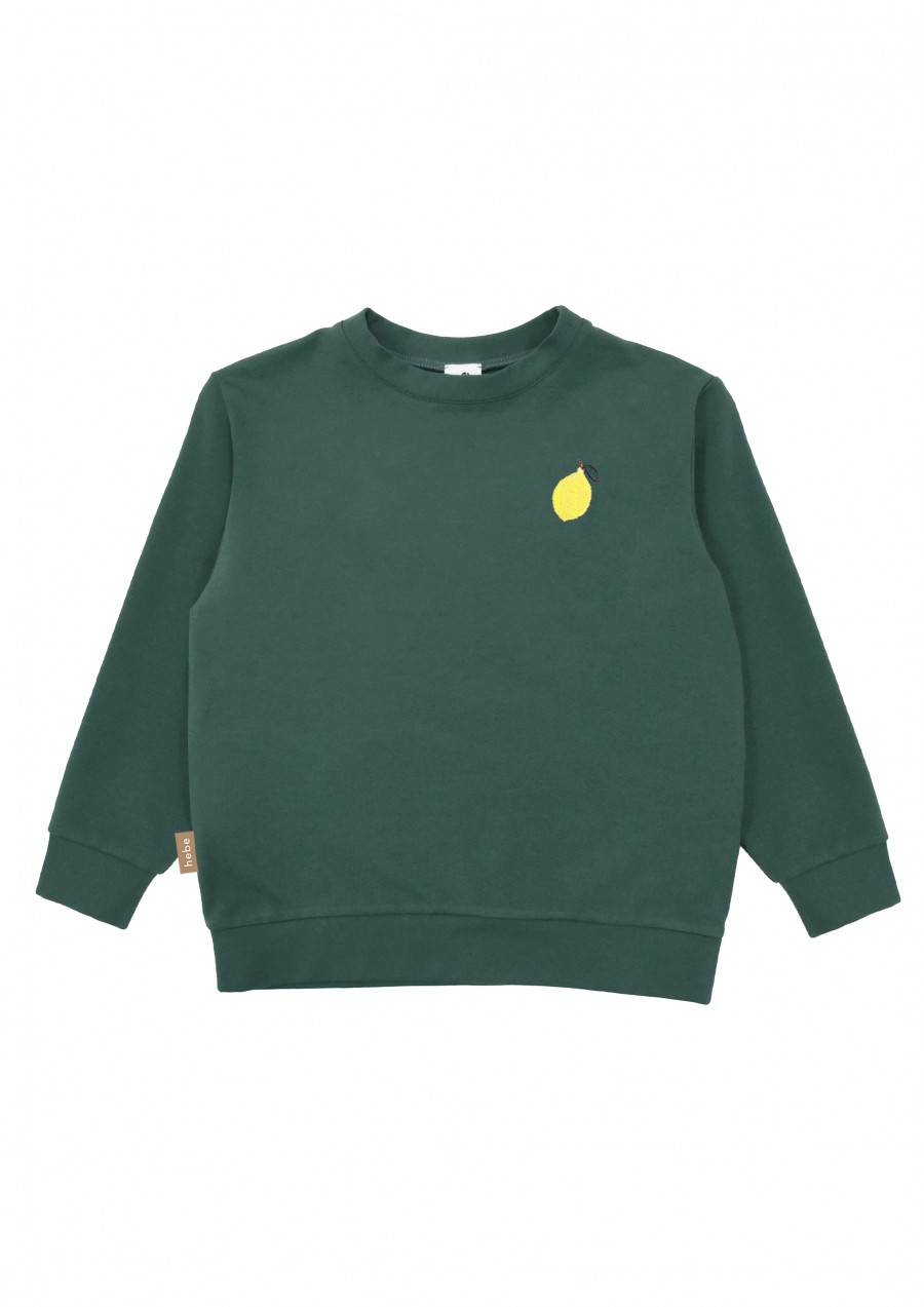 Warm sweater dark green with embroidery lemon SS23279