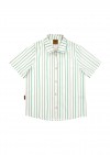 Shirt cotton off-white with green stripes print SS24040L