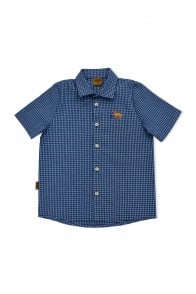 Shirt cotton with blue check and embroidery