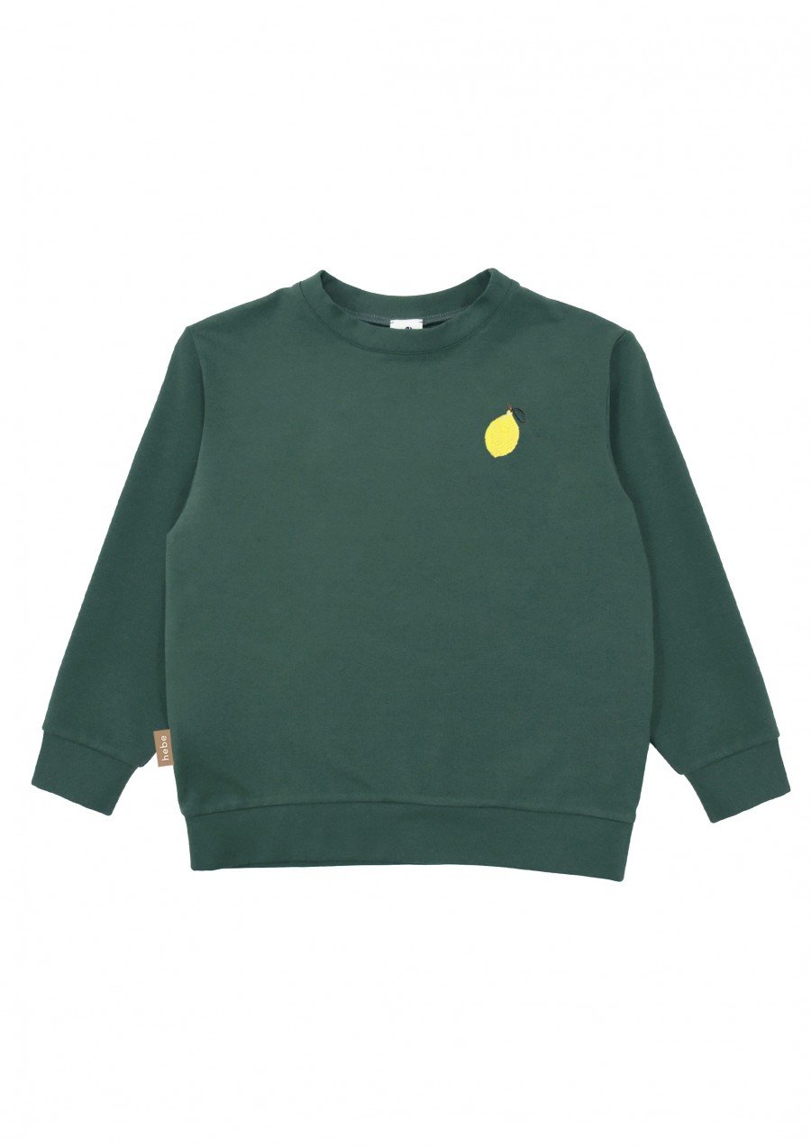 Warm sweater dark green with embroidery lemon SS23279L