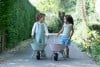 Little Dutch Wheelbarrow ´Forest Friends´ LD9125