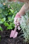 Little Dutch Set of Garden Tools ´Fairy Garden´ FSC LD9110