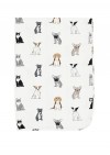 Blanket white with dog and cat print SS19116