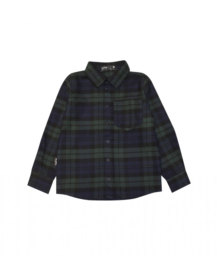 Grid flannel shirt green FW20293