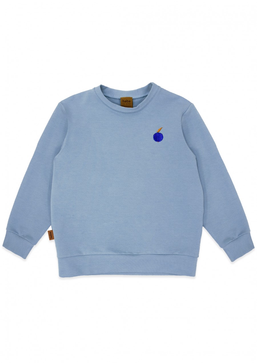 Sweater warm blue with embroidery SS24291