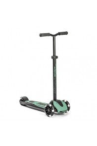 Scoot and Ride Highwaykick 5 LED Forest