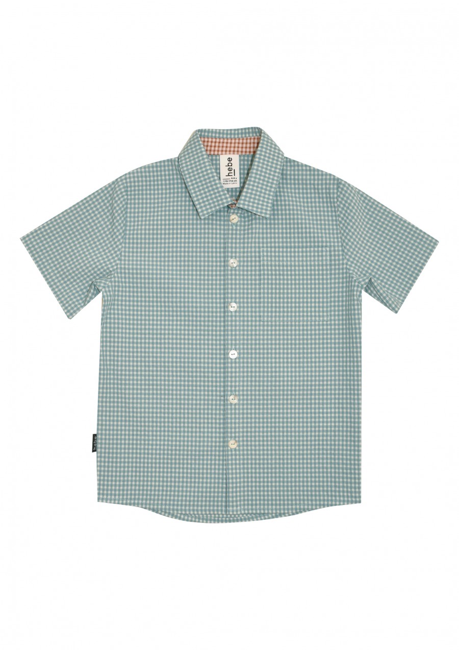 Shirt green-blue checkered SS22149L