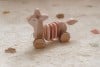 Pull-along wiggle Deer Fairy Garden LD7357