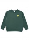 Warm sweater dark green with embroidery lemon for adult SS23282