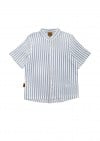 Shirt with blue stripes and embroidery 0081_S25257