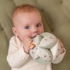 Little Dutch gripping ball ´Little Farm´ LD8825