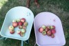 Little Dutch Wheelbarrow ´Fairy Garden´ LD9124