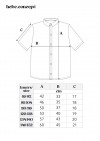 Shirt cotton with yellow check and embroidery SS24065L