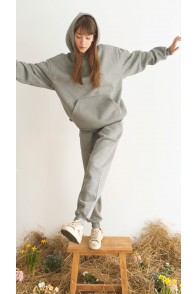 Hoodie grey