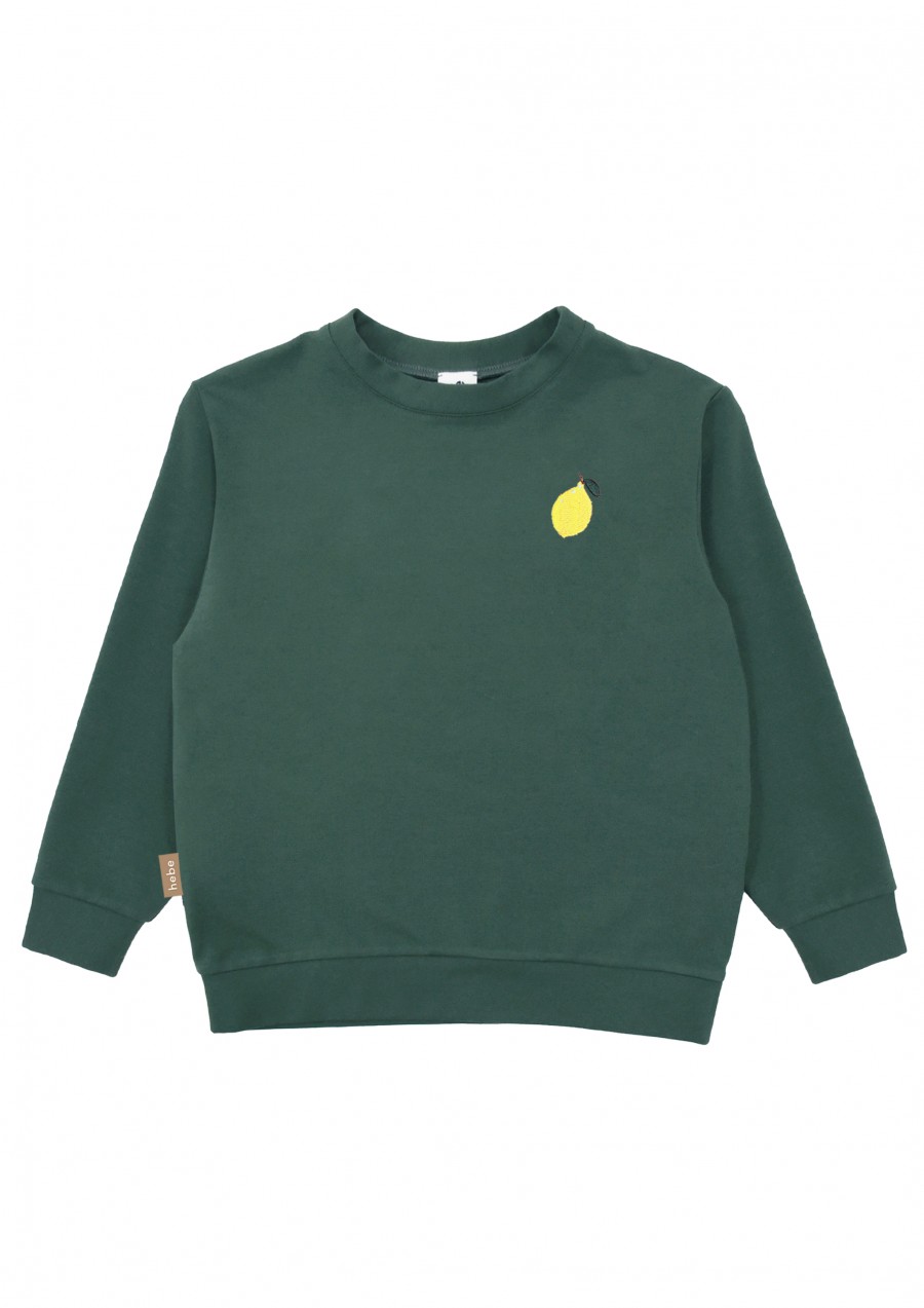 Warm sweater dark green with embroidery lemon for adult SS23282