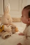 Little Dutch Activity Cuddle Toy Baby Bunny ´Newborn Naturals´ GRS LD8430