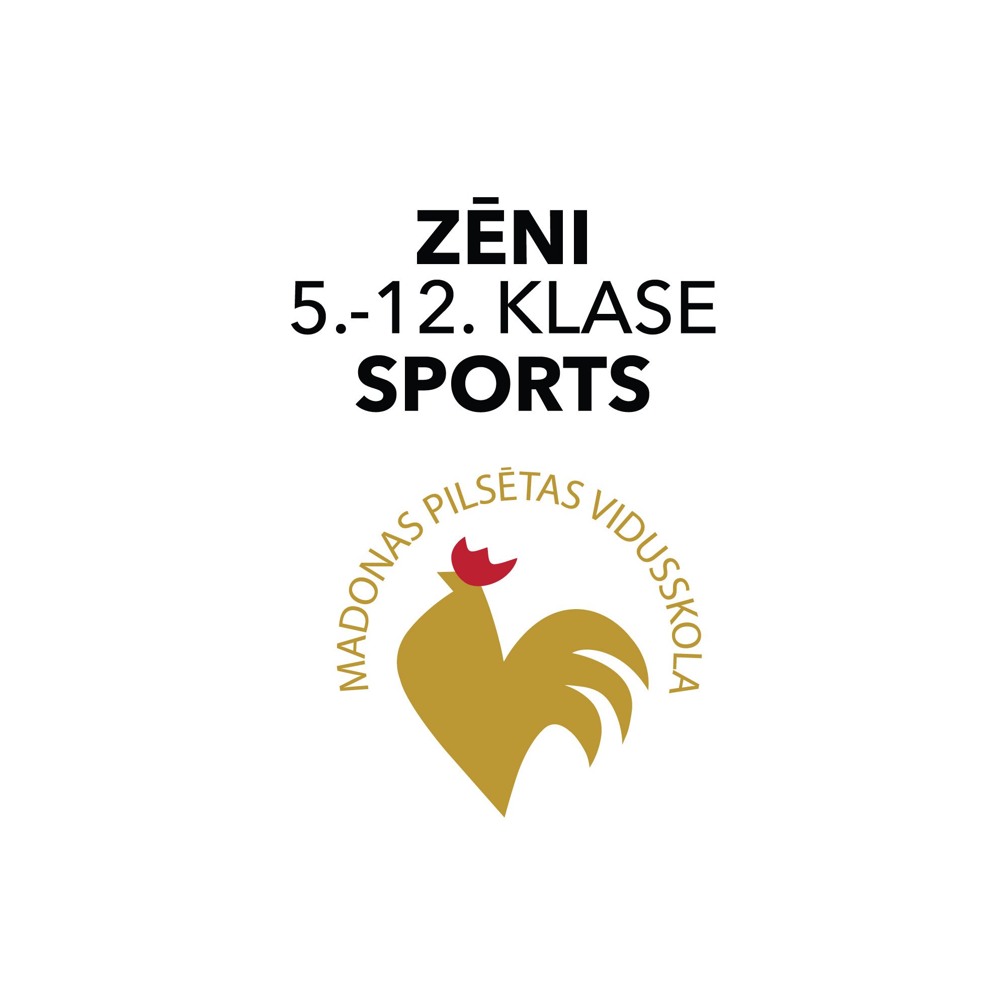 Zēni/Sports 5.-12.klase