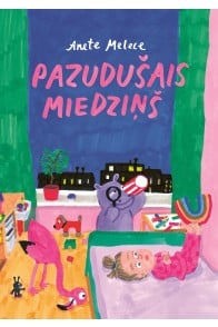 Liels un Mazs grāmata "Pazudušais miedziņš