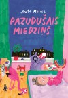 Liels un Mazs grāmata "Pazudušais miedziņš LM008