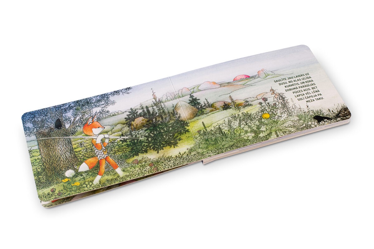 Cardboard picture book Lapsa iet čučēt HEBE